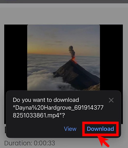 Confirm and download TikTok video