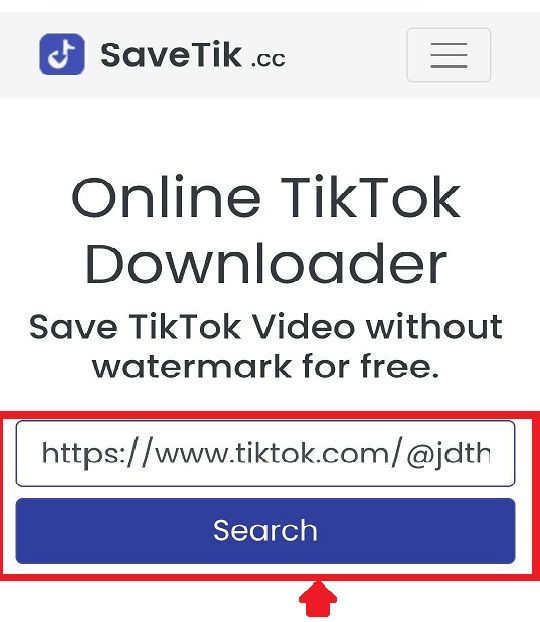 Поиск видео Tiktok